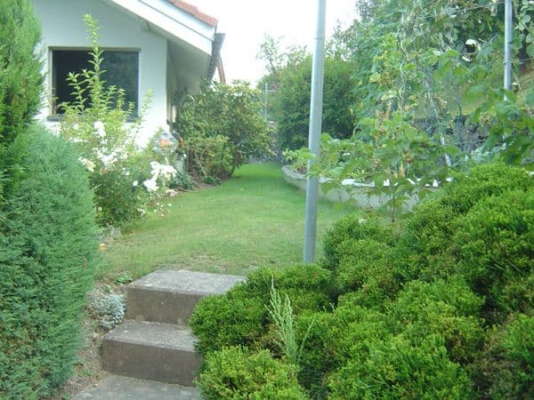 Einfamilienhaus Chur - Garten